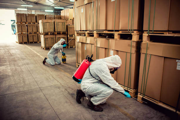 Trusted Windom, MN Pest Control Experts