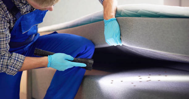 Trusted Windom, MN Pest Control Experts