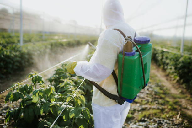 Best Rat Extermination Near Me  in Windom, MN
